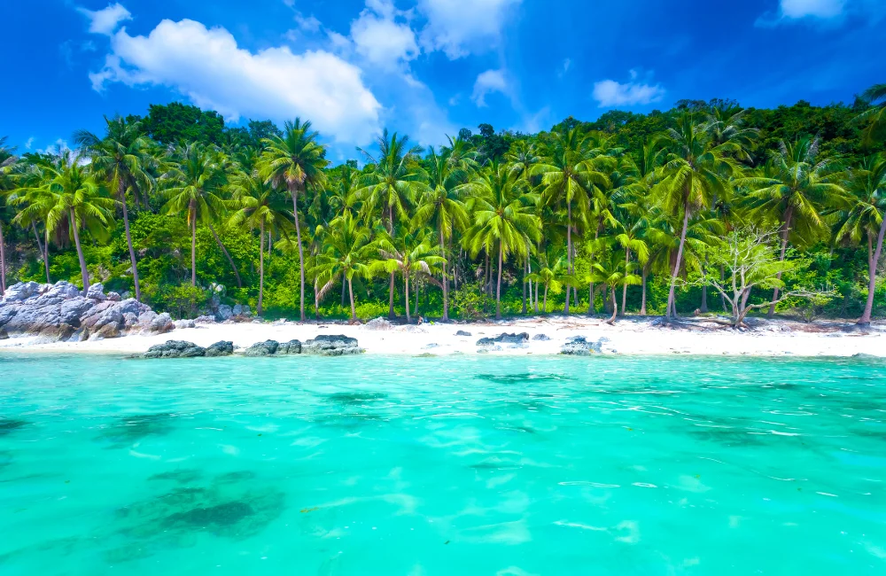  Koh Samui