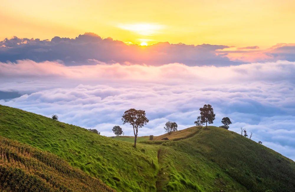 Chiang Mai