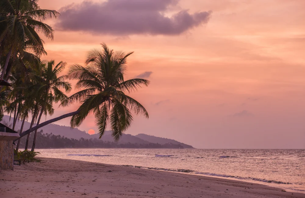 How to Get to Koh Samui