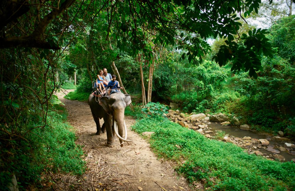 Tour Elephant Sanctuary